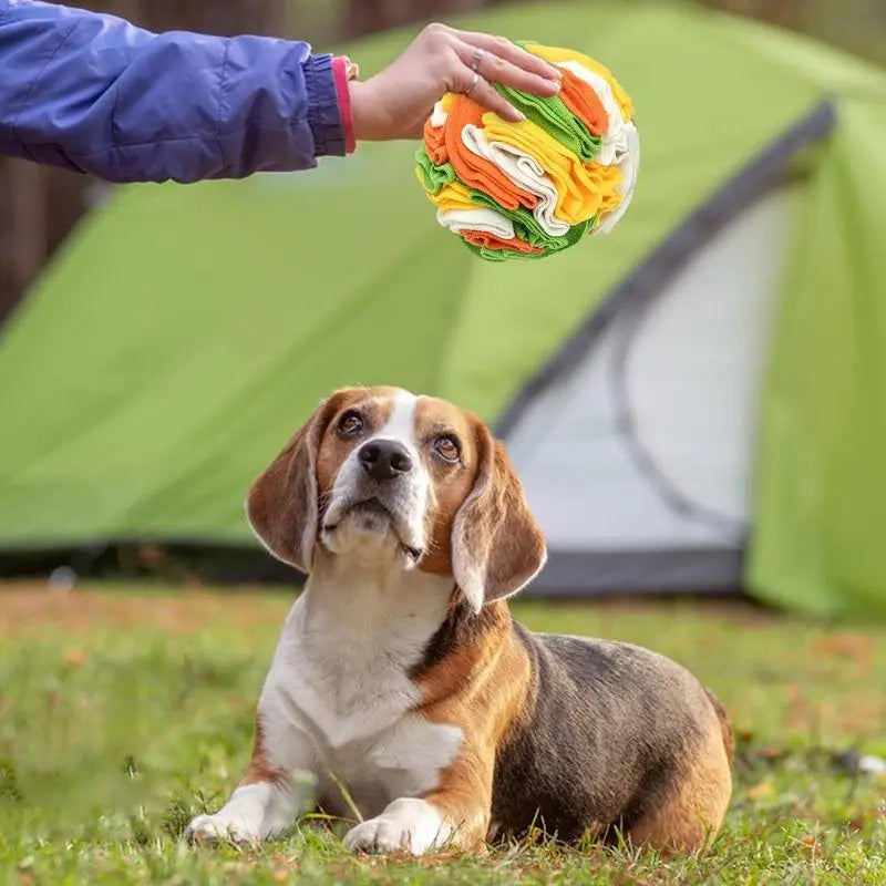 Training Educational Snuffle Dog Toy - Smart Fun for Happy Dogs!