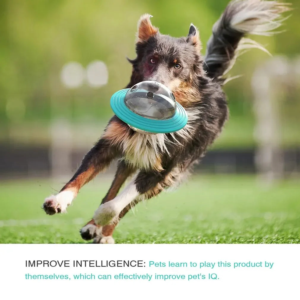 Flying Saucer Pet Puzzle Feeder & Training Toy