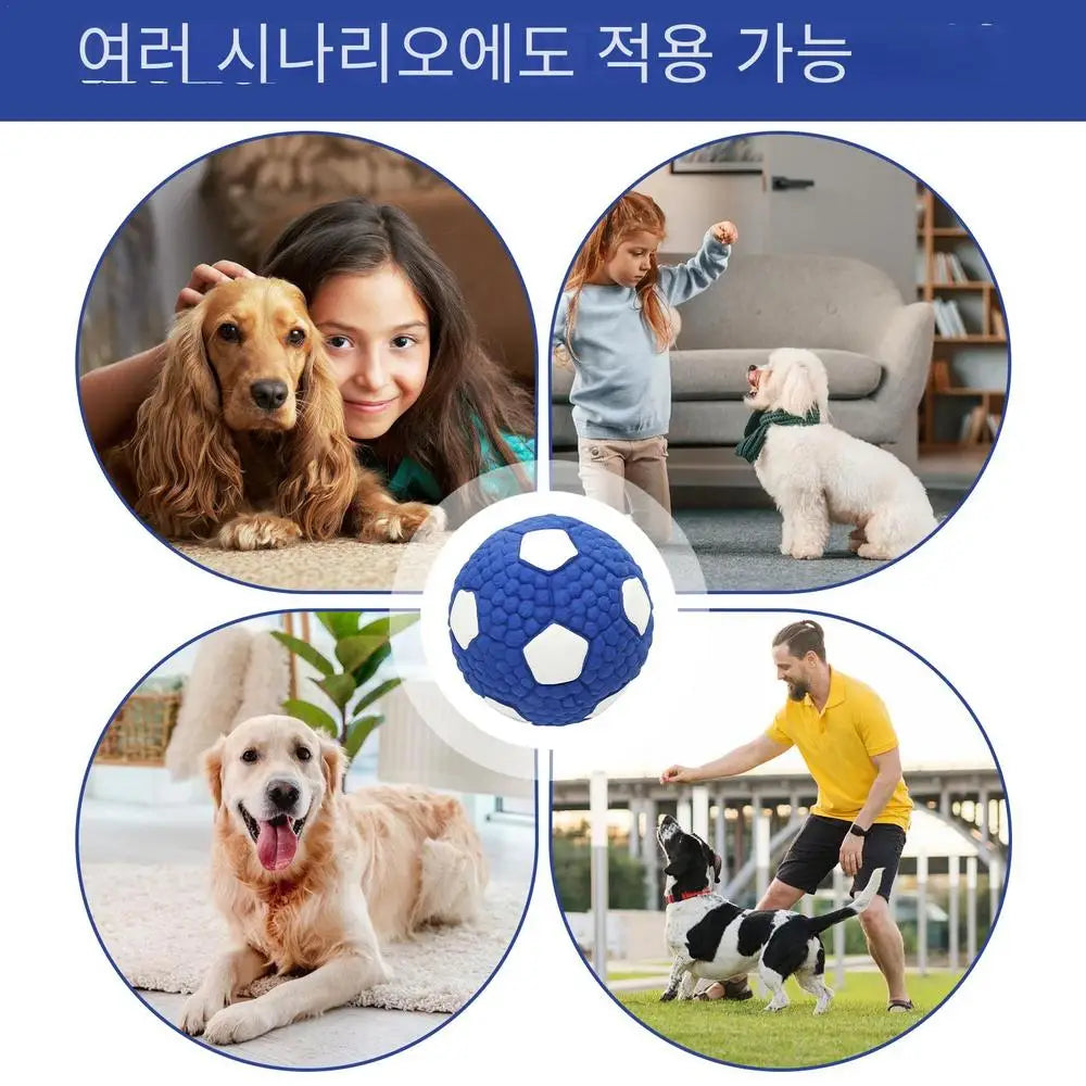 Balle pour chien indestructible – Un plaisir solide et à mâcher pour un jeu sans fin !