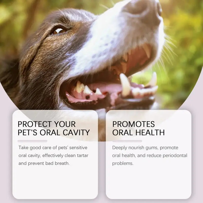 Dog Teeth Cleaning Pen – Easy & Effective Oral Care for Your Pet!