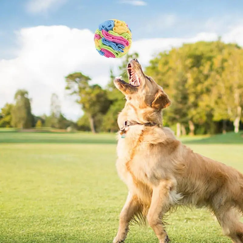 Training Educational Snuffle Dog Toy - Smart Fun for Happy Dogs!