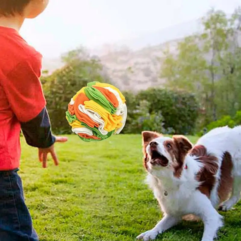 Training Educational Snuffle Dog Toy - Smart Fun for Happy Dogs!