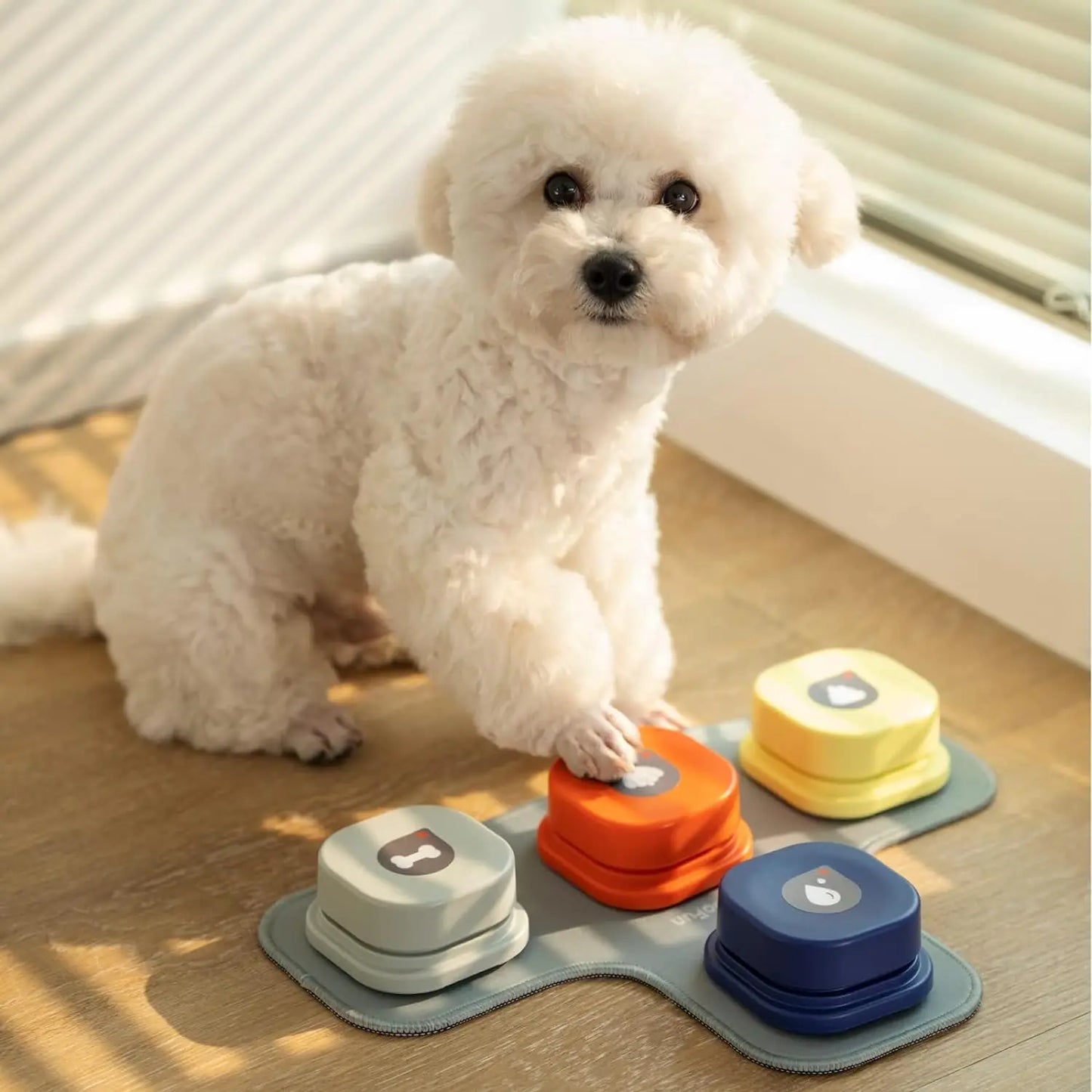 Dog Talking Buttons Set – Empower Your Pet to Communicate!
