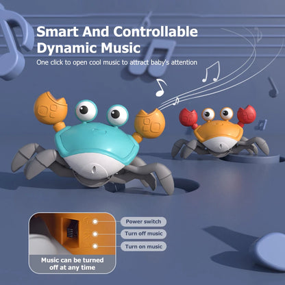 Baby Crawling Crab Toy