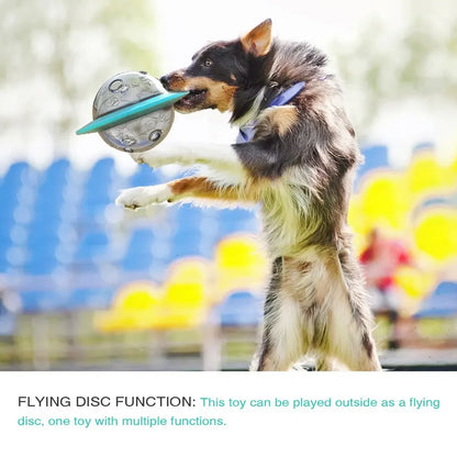 Flying Saucer Pet Puzzle Feeder &amp; Training Toy