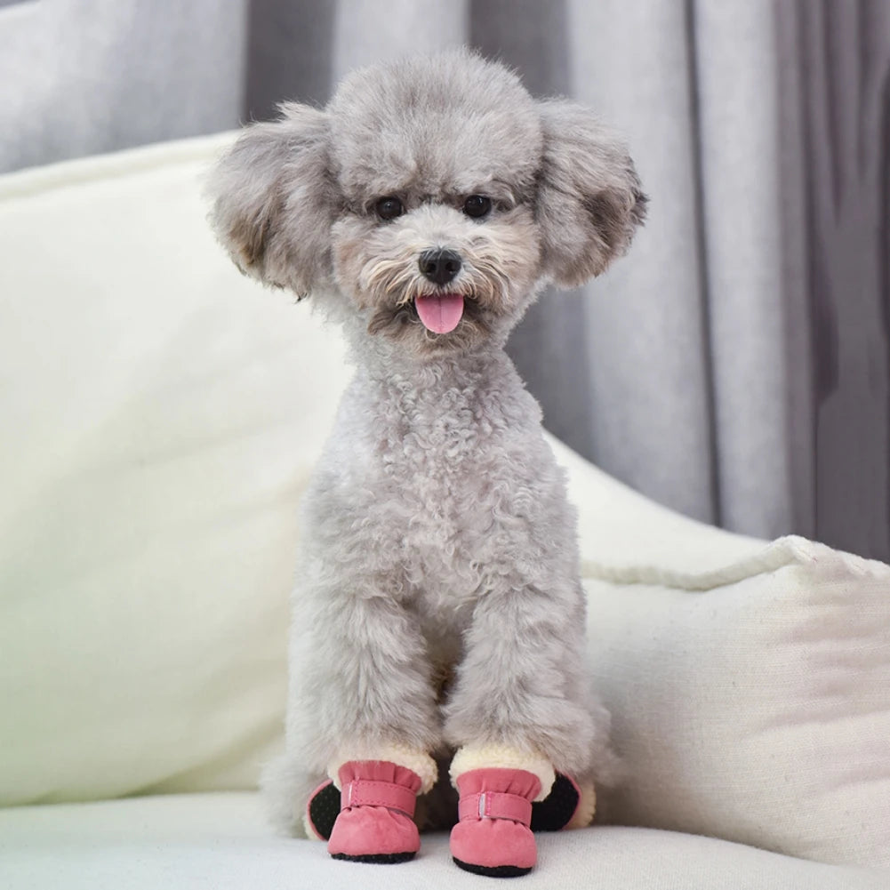 Dog Snow Boots – Keep Your Pets Warm, Stylish & Protected This Winter!