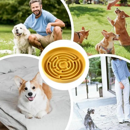 Gamelle pour chien à alimentation lente – Favorisez une alimentation saine et prévenez l’étouffement !