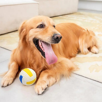 Balle pour chien indestructible – Un plaisir solide et à mâcher pour un jeu sans fin !
