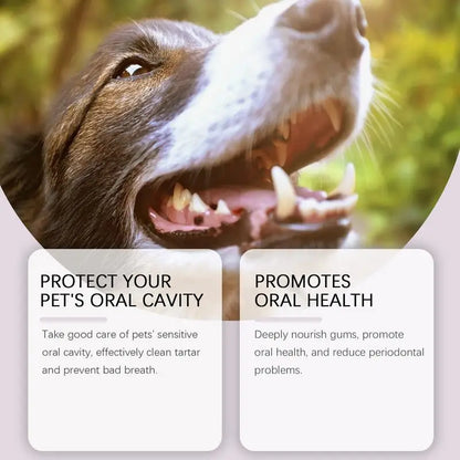 Dog Teeth Cleaning Pen – Easy & Effective Oral Care for Your Pet!