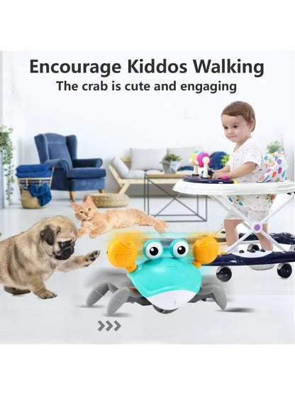 Crawling Crab Baby Toy