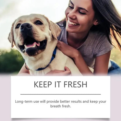 Dog Teeth Cleaning Pen – Easy & Effective Oral Care for Your Pet!