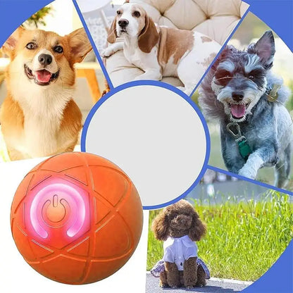 Balle roulante active pour chiens – Jouet interactif rechargeable par USB avec lumières LED 